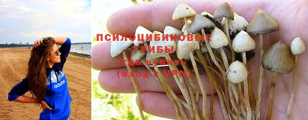 герыч Алексин