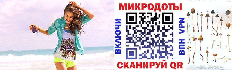 хочу наркоту  Приозерск  Псилоцибиновые грибы MAGIC MUSHROOMS 